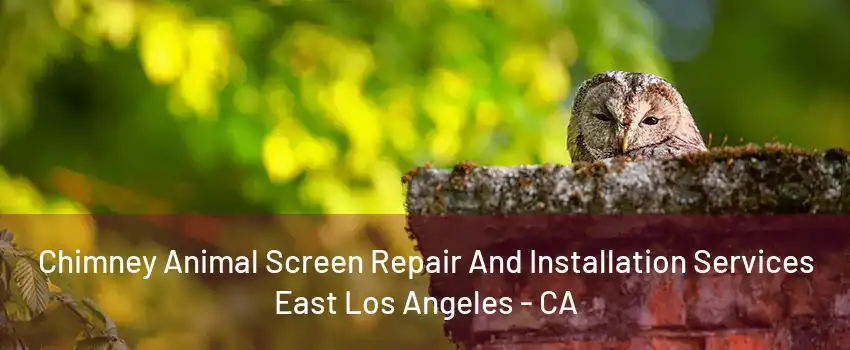 Chimney Animal Screen Repair And Installation Services East Los Angeles - CA