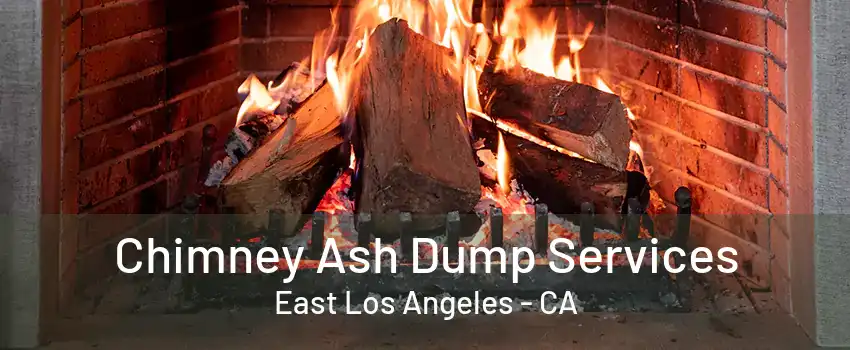 Chimney Ash Dump Services East Los Angeles - CA