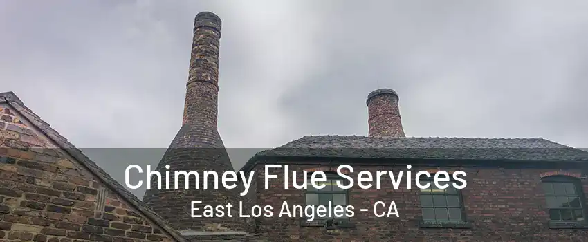 Chimney Flue Services East Los Angeles - CA