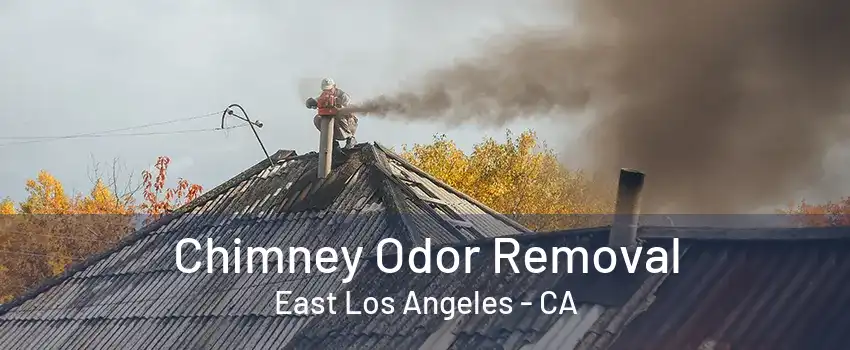 Chimney Odor Removal East Los Angeles - CA