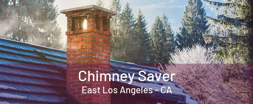 Chimney Saver East Los Angeles - CA