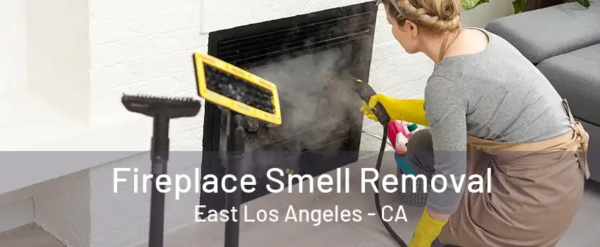 Fireplace Smell Removal East Los Angeles - CA