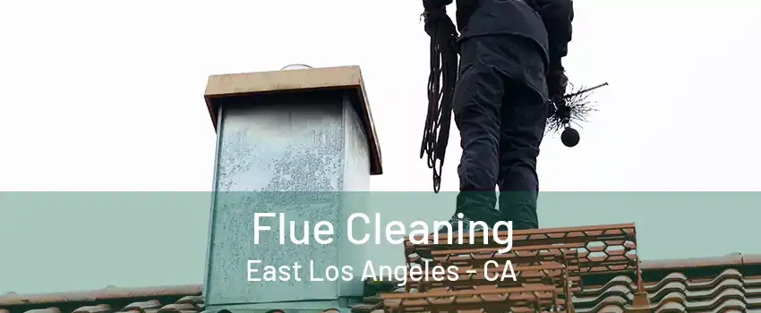 Flue Cleaning East Los Angeles - CA