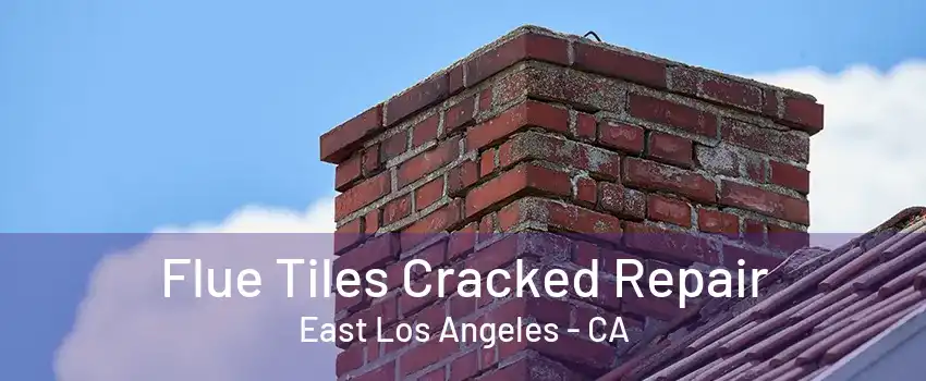 Flue Tiles Cracked Repair East Los Angeles - CA