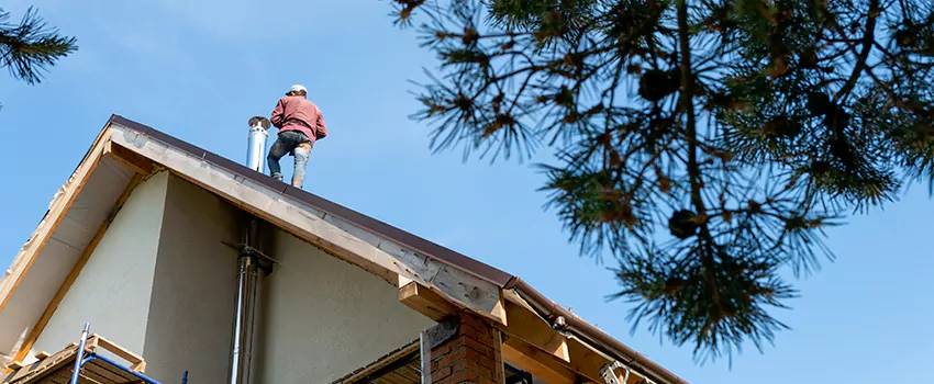 Birds Removal Contractors from Chimney in East Los Angeles, CA