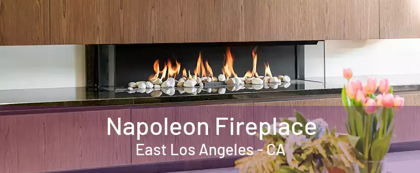 Napoleon Fireplace East Los Angeles - CA