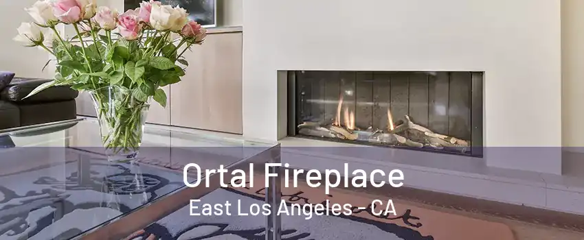 Ortal Fireplace East Los Angeles - CA